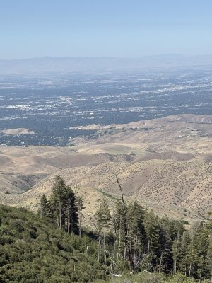 IMG_7973.jpeg