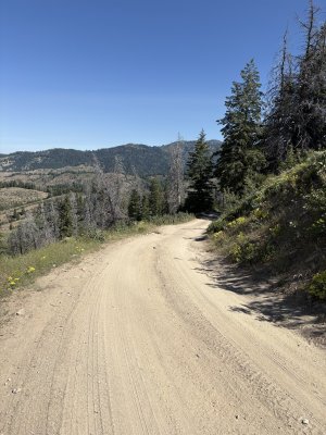 IMG_7974.jpeg
