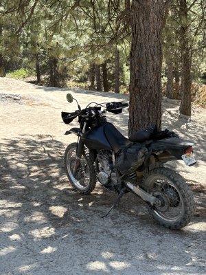 IMG_7975.jpeg