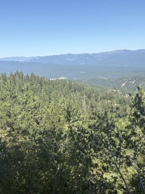 IMG_7986.jpeg