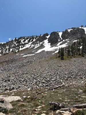 IMG_7805.jpg