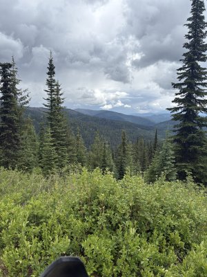 IMG_7866.jpeg