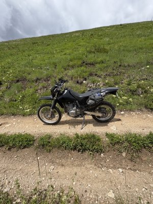 IMG_7883.jpeg